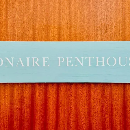 公寓 Bonaire Penthouse 2 Terraces Steps From 锡切斯